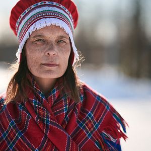 Bilder Das Leuchten der Rentiere