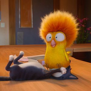 Bilder Alles für die Katz