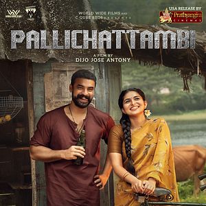 Bilder Pallichattambi