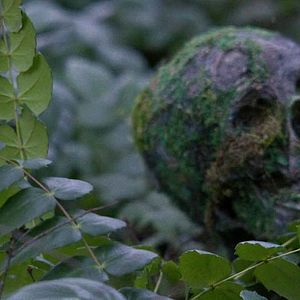 Bilder Douglas Smith (III)