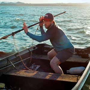 Bilder Shark Warning