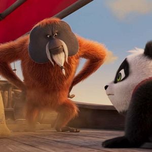 Bilder Der kleine Panda in Afrika