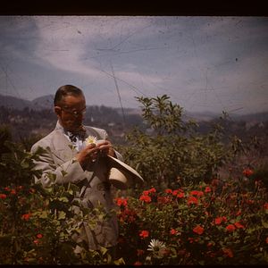 Bilder Bekenntnisse des Hochstaplers Thomas Mann