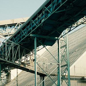 Bilder Bestiari, erbari, lapidari