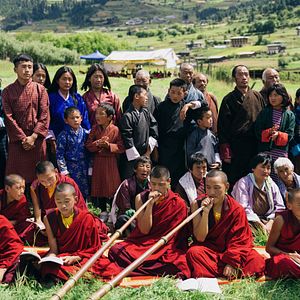 Bilder Was will der Lama mit dem Gewehr?