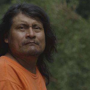 Bilder Patrol – Auf Patrouille durch den Regenwald