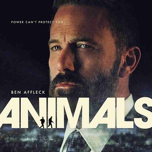 Bilder Animals