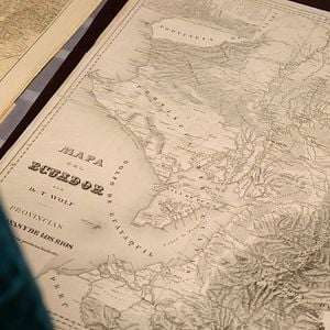 Bilder Wir, die Wolfs