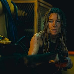 Bilder Dangerous Animals