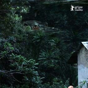 Bilder Schlafkrankheit