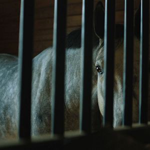 Bilder Untold: The Shooting At Hawthorne Hill