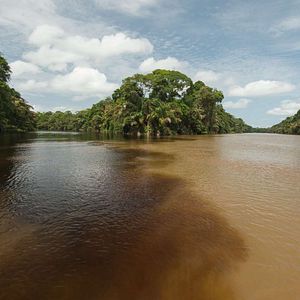 Bilder Patrol – Auf Patrouille durch den Regenwald
