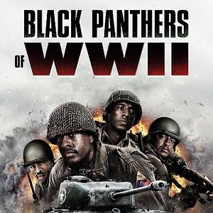 Bilder Black Panthers Of WWII - Amerikas wahre Helden