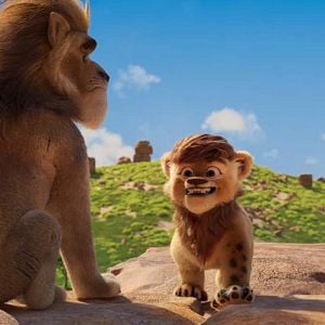 Bilder Der kleine Panda in Afrika