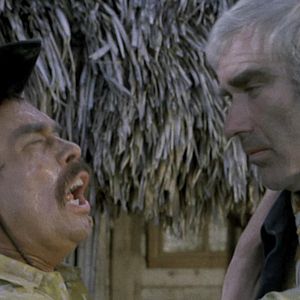 Bilder Dschungelinferno