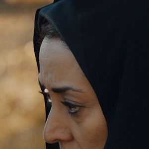 Bilder Maryam Palizban