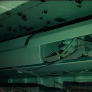 Bilder Spiders On A Plane
