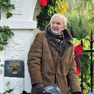 Bilder Alle unter eine Tanne