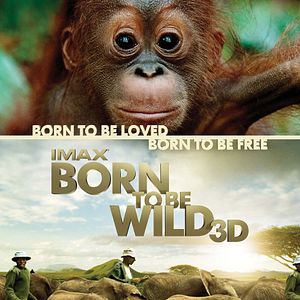 Bilder Zurück in die Wildnis