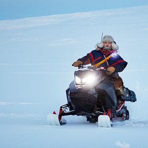 Bilder Das Leuchten der Rentiere