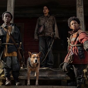 Bilder Percy Daggs IV