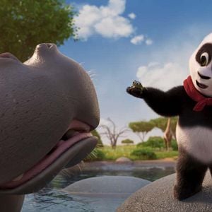 Bilder Der kleine Panda in Afrika