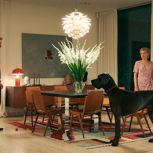 Bilder Pfau – Bin ich echt?