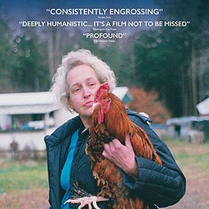 Bilder For The Birds