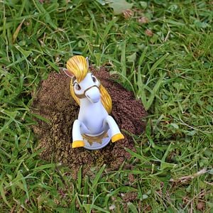 Bilder ŞamPİYONlar