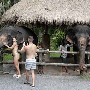 Bilder Siam Diary - Ein Film über das Reisen