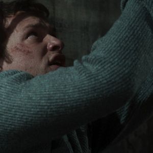 Bilder Schlitter - Evil In The Woods