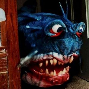 Bilder Doll Shark