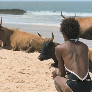 Bilder I Only Rest In The Storm