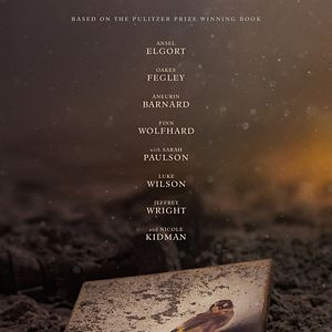 Bilder Der Distelfink