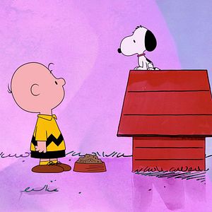 Bilder Snoopy präsentiert: Zu Hause ist es am schönsten
