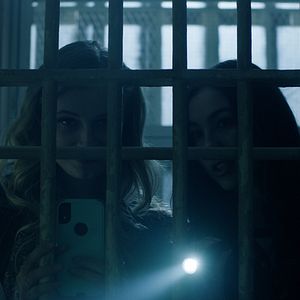 Bilder Fresh Meat