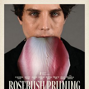 Bilder Rosebush Pruning