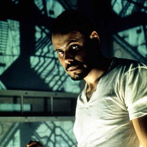 Bilder Maurice Dean Wint