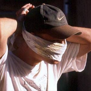 Bilder Der kleine Dieb