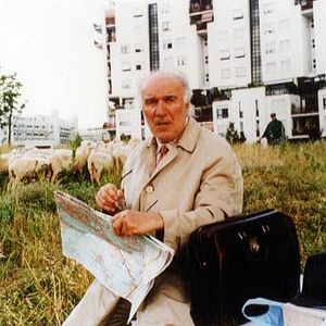 Bilder Die Reisegefährtin