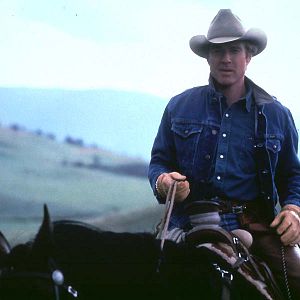 Bilder Robert Redford