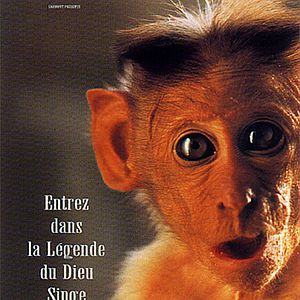 Bilder Hanuman - Im Königreich der Affen