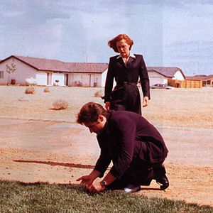 Bilder David Duchovny