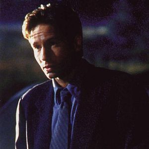 Bilder David Duchovny