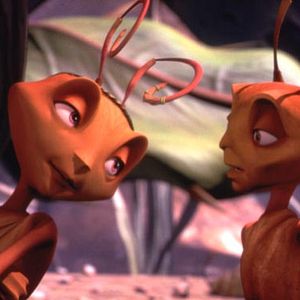 Bilder Antz – Was krabbelt da?