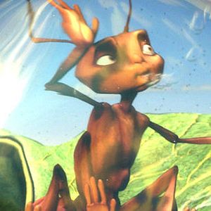 Bilder Antz – Was krabbelt da?