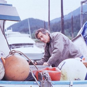 Bilder Wenn der Nebel sich lichtet