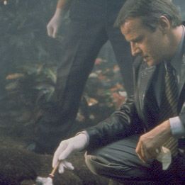 Bilder Christophe Lambert