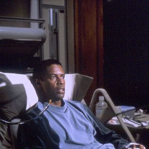 Bilder Der Knochenjäger