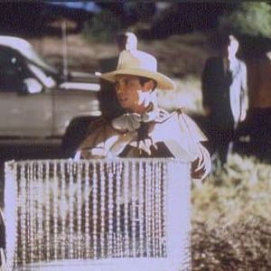 Bilder Bats - Fliegende Teufel